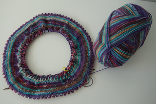 Versuch mit Willow Cowl