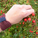 Dolores - Cup Cosy, Bracelet or Headband photo 3
