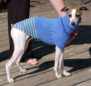 Ravelry Italian Greyhound Sweater Pattern By Graceleb