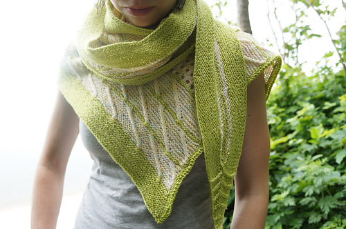 Fugler av fjærene - Erica Jackofsky