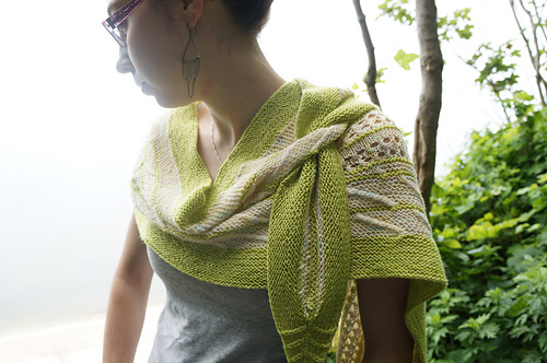 Fugler av fjærene - Erica Jackofsky