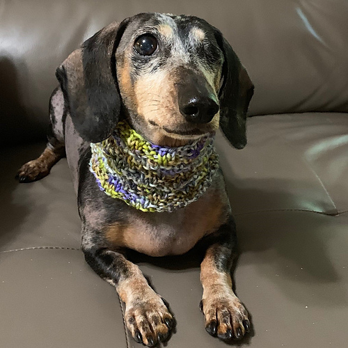 Pupper Snug Cowl photo 1
