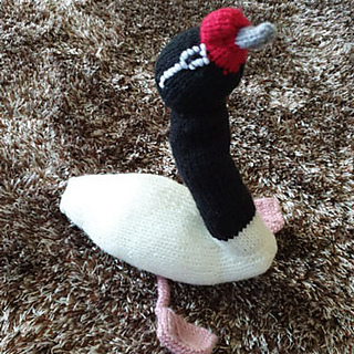 Black Necked Swan Knitted Toy