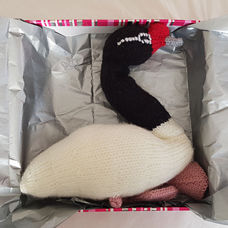Black Necked Knitted Swan Toy Gift