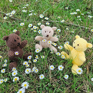 Knitted teddy bears sat on the grass with daisies