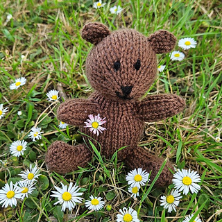 Little knitted bear in the daisies on the grass