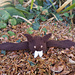 Knitted Halloween Bat Toy