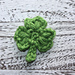 St. Patrick's Day Fun photo 4