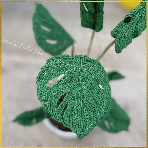 Ravelry Swiss Cheese Plant pattern by Leticia Lebron