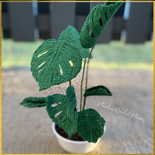 Ravelry Swiss Cheese Plant pattern by Leticia Lebron