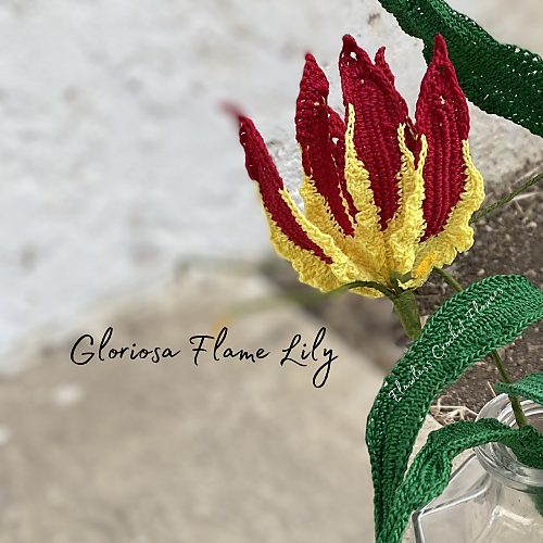 Gloriosa flammeslipsblomst - Leticia Lebron