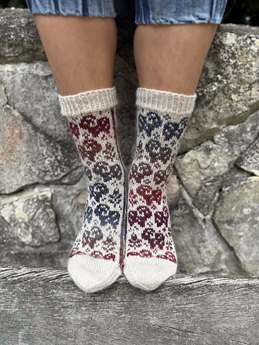 Socks Ruya