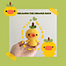Orlando the Orange Duck pattern 