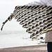 Eathie pattern 