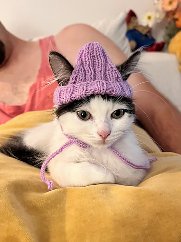 最終値下げandwang Fluffy cat knit hat Fluffy cat knit hat