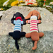 Dapper Dachshund pattern 