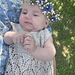 Paulina Dress photo 3