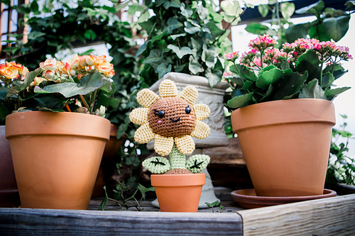 April the Sunflower Ami photo 4