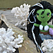 Frankie the Mermaid photo 4