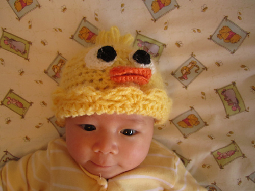 Baby Chick Hat photo 2