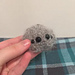 Pocket spider photo 3