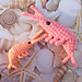 Shrimp Amigurumi pattern 