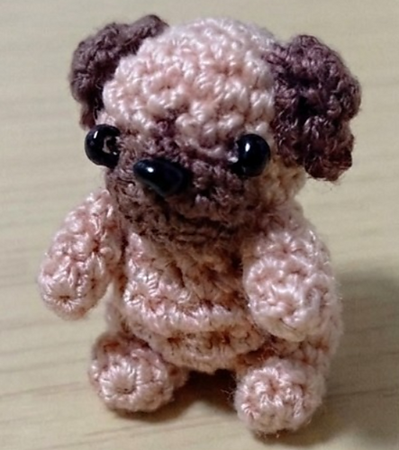 Little Pug