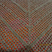 New Year's Shawl photo 4