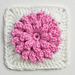 Popcorn Flower Granny Square pattern