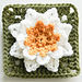 Water Lily Granny Square pattern 
