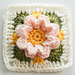 Camellia Granny Square pattern 