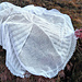 Raindrops on Kittens Shawl pattern 