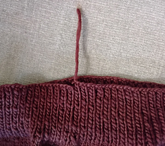 5 Oct 2025 A win at Yarn Chicken