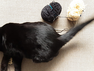 Photobombed! 4 Mar 2022