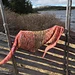 Harlekin sjal pattern 