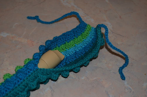 Recorder Cover Case photo 4