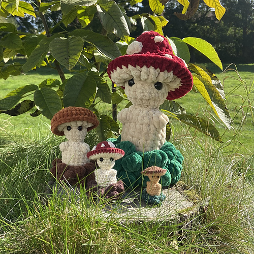 Mushroom fam out for a walk