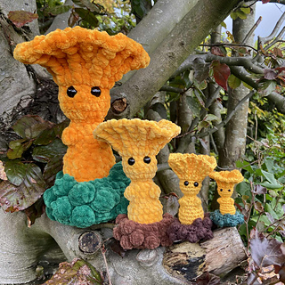 Chanterelle family hanging out in a tree!