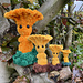 Chanterelle Mushkin pattern