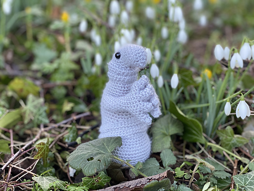 Snorp - Hannah Mainprize