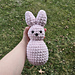 Bunny Peep pattern 