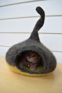 Ravelry best sale cat cave