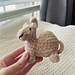 Pocket Camel pattern 