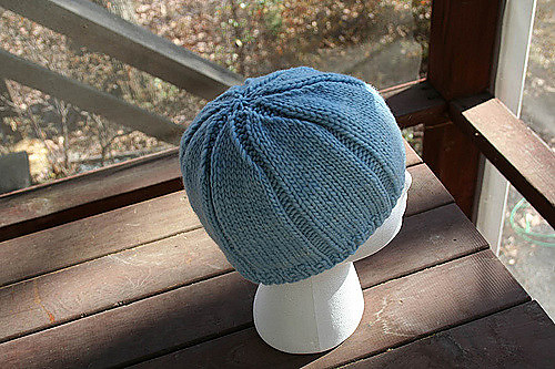 Starry Noggin photo 4