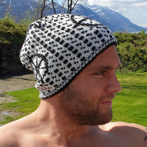 Hardbarka islenderlue - Robert Torrissen