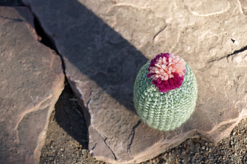 Ravelry: Amigurumi Cactus pattern by Hayley Rigali