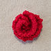 ROSE flower photo 2