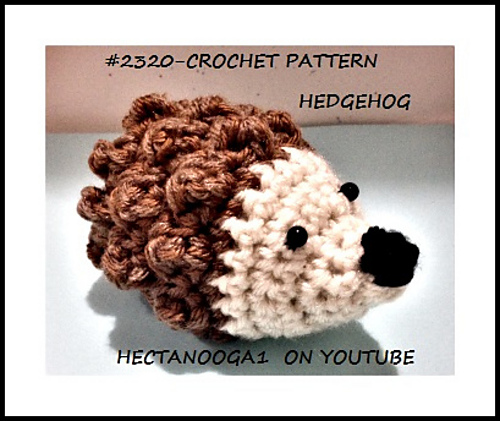2320- HEDGEHOG photo 3