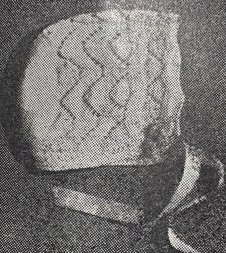 Diana Layette photo 9
