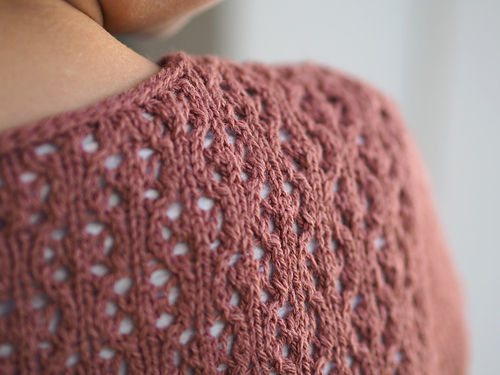 Petite Saponaire photo 7